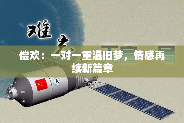 偿欢：一对一重温旧梦，情感再续新篇章