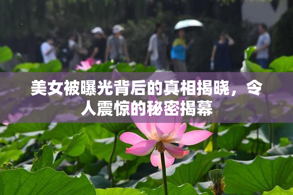 美女被曝光背后的真相揭晓，令人震惊的秘密揭幕