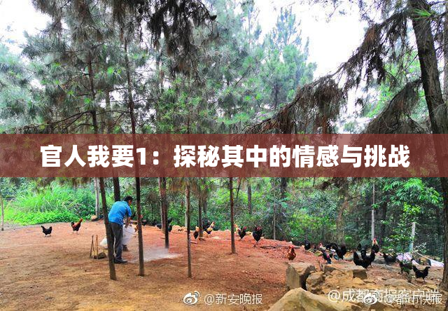 官人我要1：探秘其中的情感与挑战