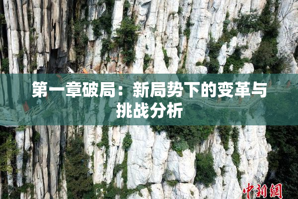 第一章破局：新局势下的变革与挑战分析