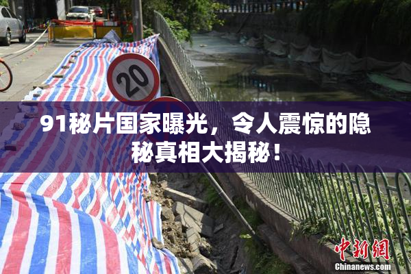 91秘片国家曝光，令人震惊的隐秘真相大揭秘！