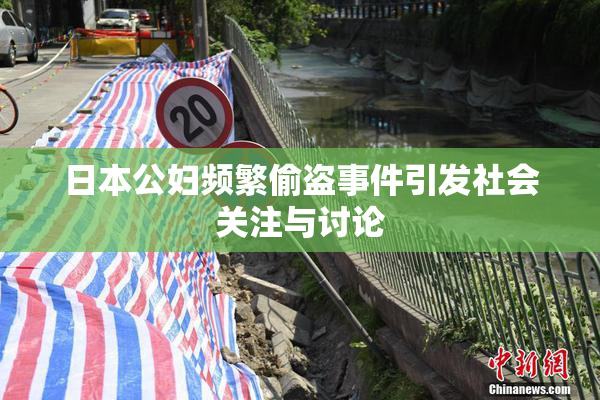 日本公妇频繁偷盗事件引发社会关注与讨论