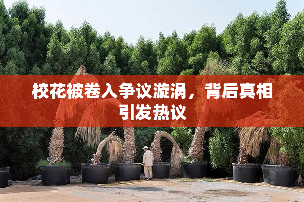 校花被卷入争议漩涡，背后真相引发热议