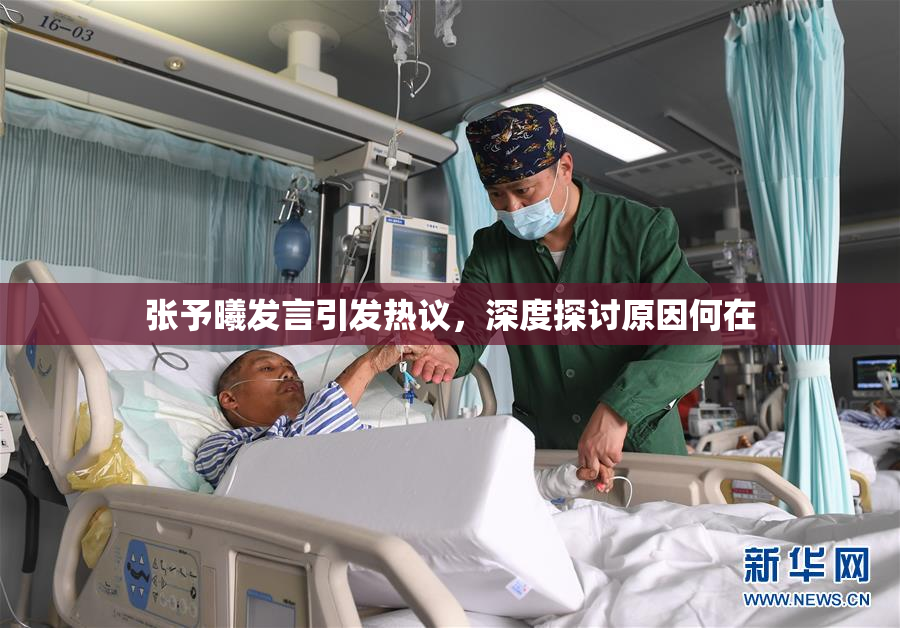 张予曦发言引发热议，深度探讨原因何在