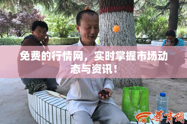 免费的行情网，实时掌握市场动态与资讯！