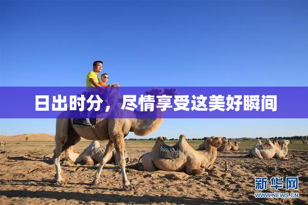 日出时分，尽情享受这美好瞬间