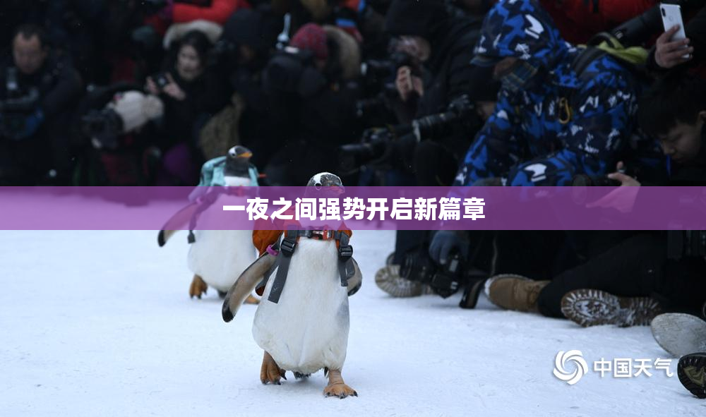 一夜之间强势开启新篇章
