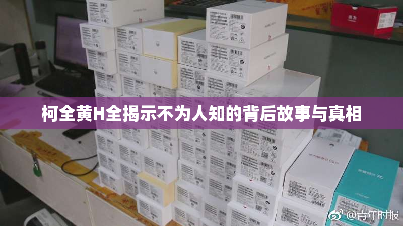 柯全黄H全揭示不为人知的背后故事与真相