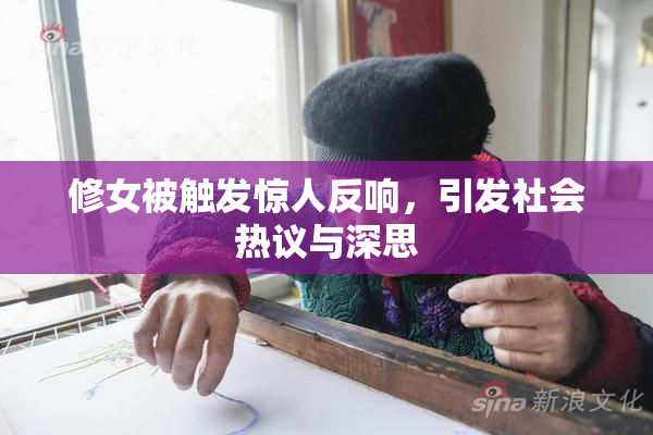 修女被触发惊人反响，引发社会热议与深思