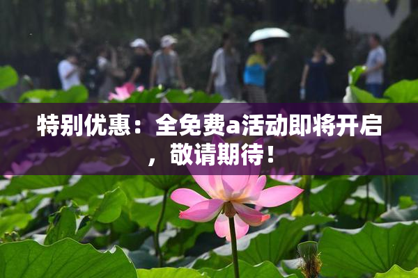 特别优惠：全免费a活动即将开启，敬请期待！