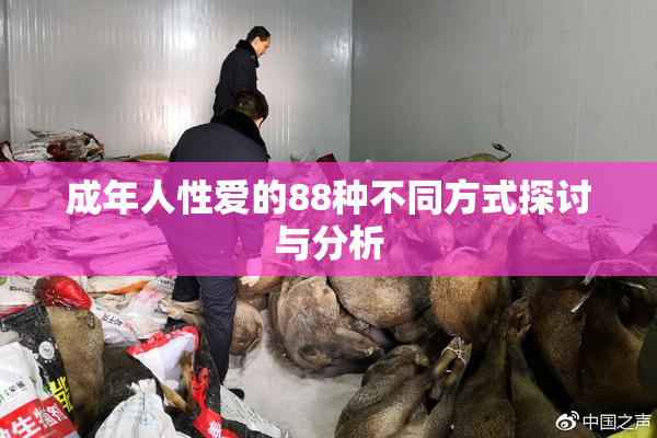 成年人性爱的88种不同方式探讨与分析