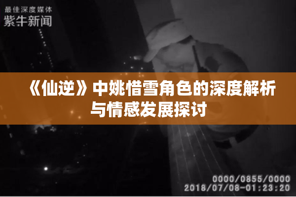 《仙逆》中姚惜雪角色的深度解析与情感发展探讨