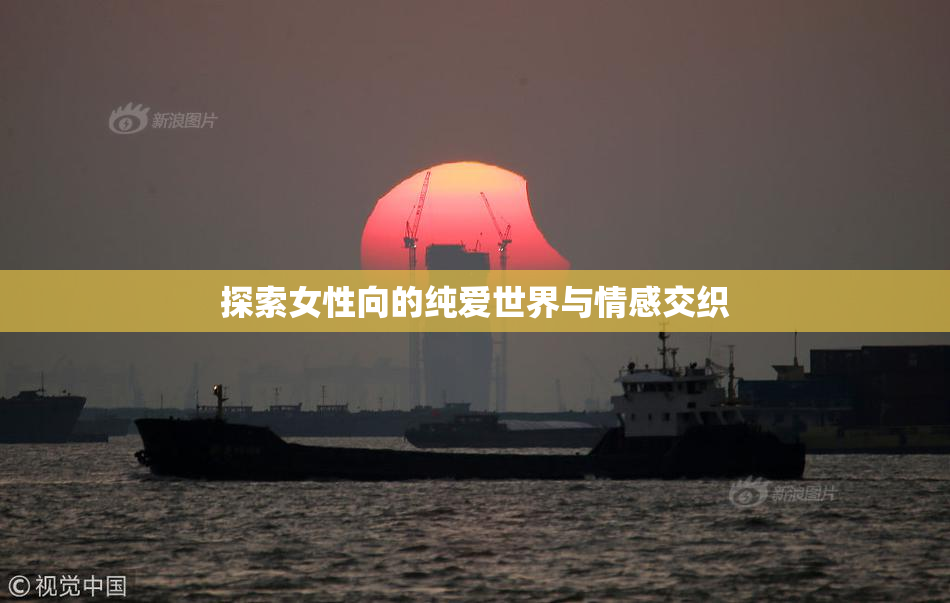 探索女性向的纯爱世界与情感交织