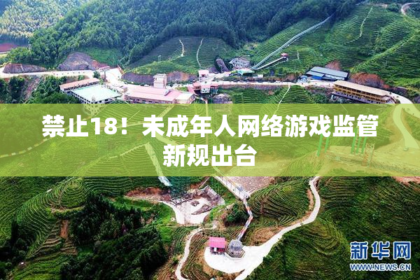 禁止18！未成年人网络游戏监管新规出台