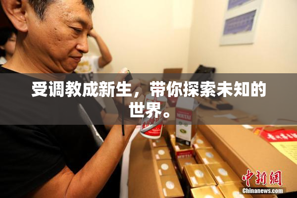 受调教成新生，带你探索未知的世界。