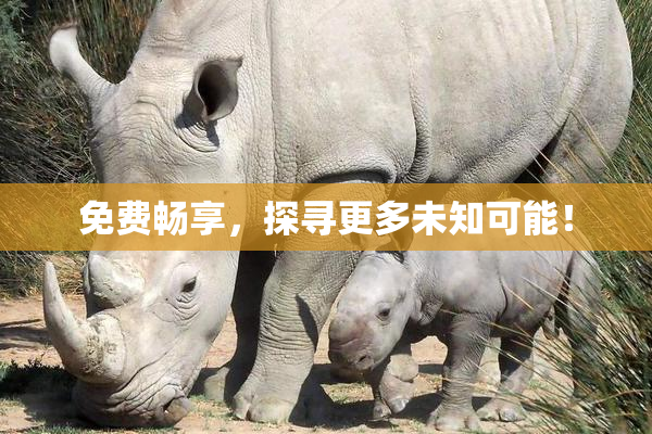 免费畅享，探寻更多未知可能！