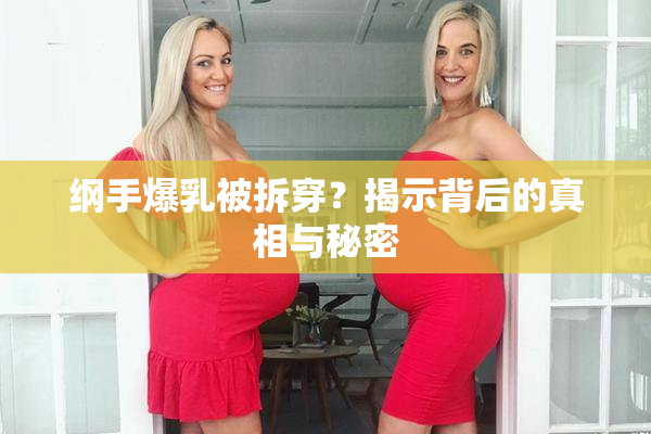 纲手爆乳被拆穿？揭示背后的真相与秘密
