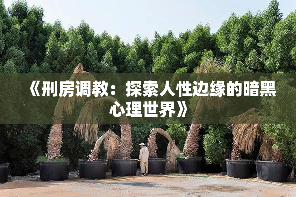 《刑房调教：探索人性边缘的暗黑心理世界》