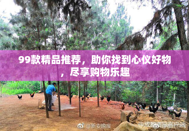 99款精品推荐，助你找到心仪好物，尽享购物乐趣