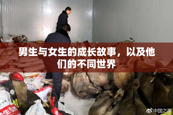 男生与女生的成长故事，以及他们的不同世界