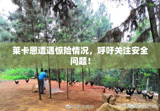 莱卡恩遭遇惊险情况，呼吁关注安全问题！