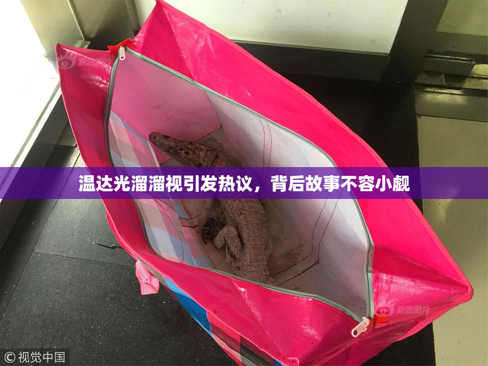温达光溜溜视引发热议，背后故事不容小觑