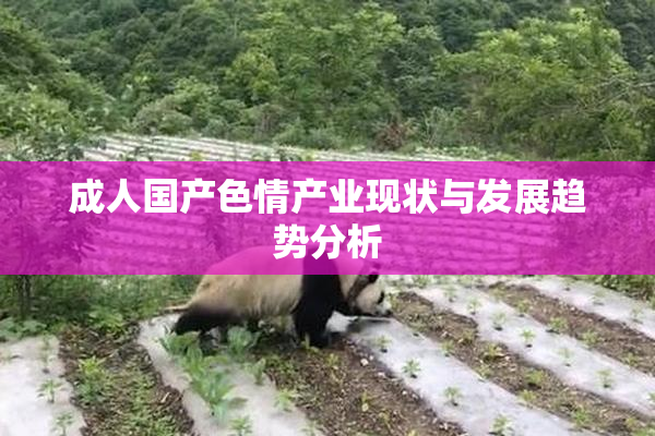 成人国产色情产业现状与发展趋势分析