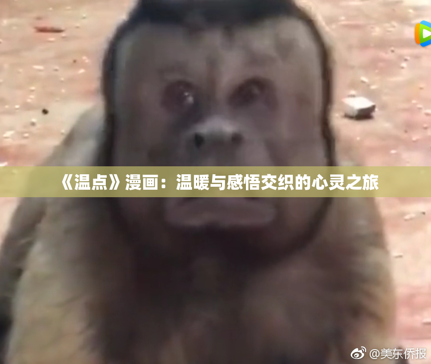《温点》漫画：温暖与感悟交织的心灵之旅