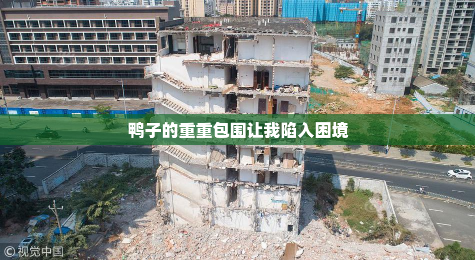 鸭子的重重包围让我陷入困境