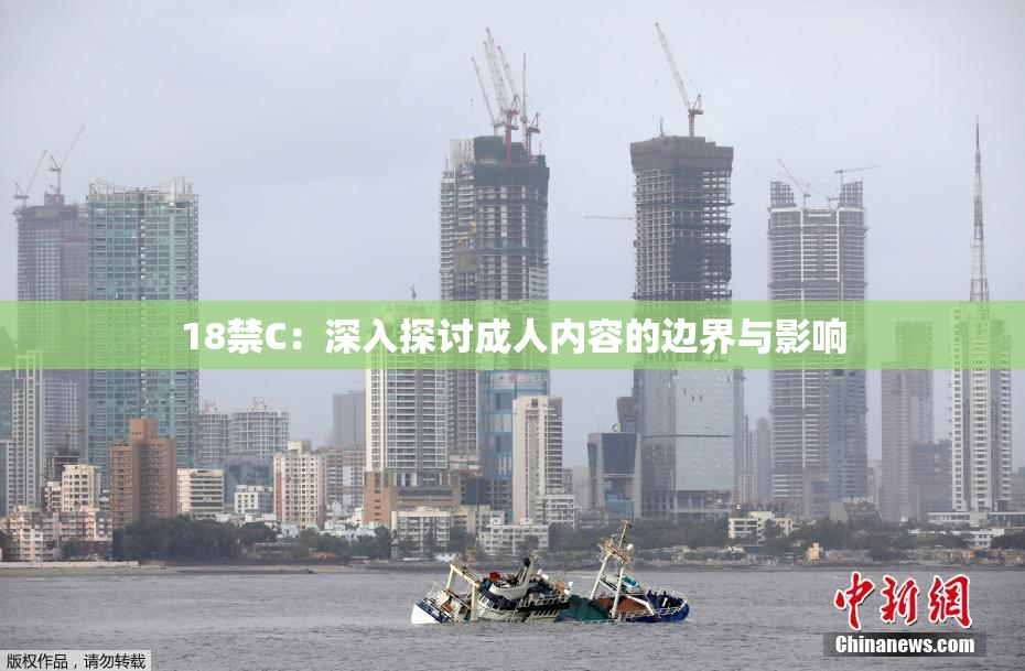 18禁C：深入探讨成人内容的边界与影响