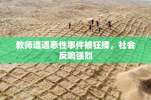 教师遭遇恶性事件被狂揉，社会反响强烈