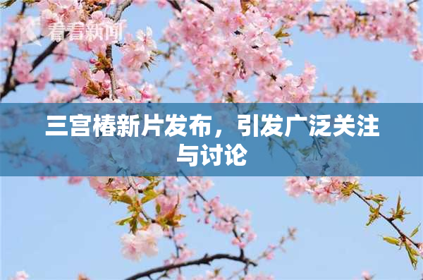 三宫椿新片发布，引发广泛关注与讨论