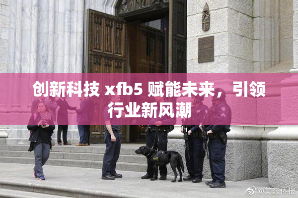 创新科技 xfb5 赋能未来，引领行业新风潮