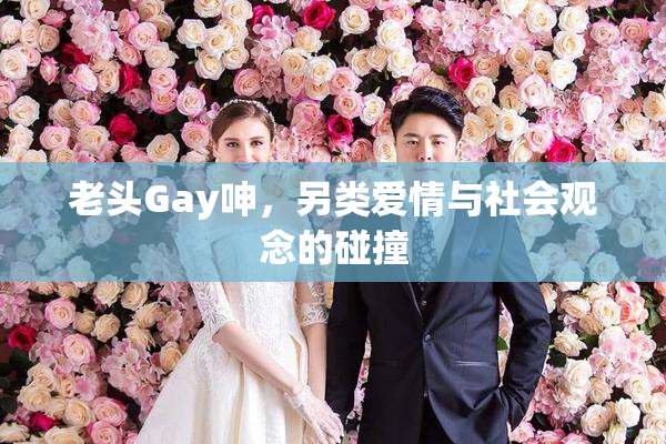老头Gay呻，另类爱情与社会观念的碰撞