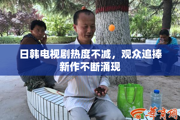 日韩电视剧热度不减，观众追捧新作不断涌现