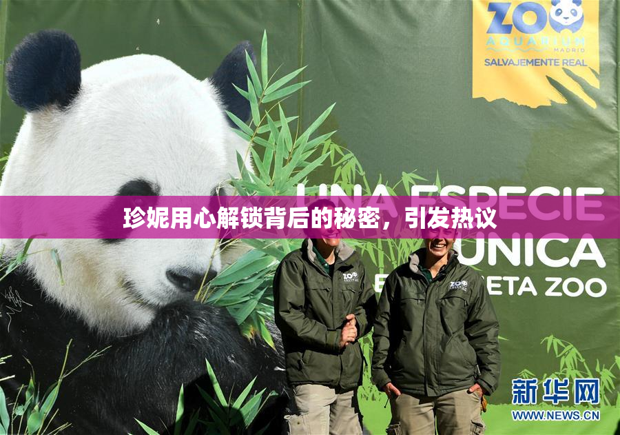 珍妮用心解锁背后的秘密，引发热议