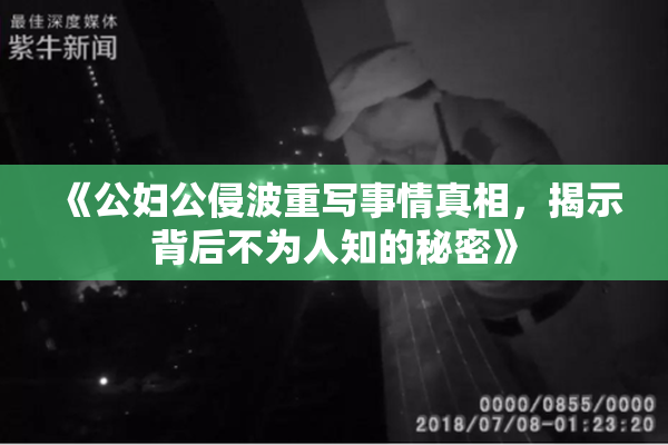 《公妇公侵波重写事情真相，揭示背后不为人知的秘密》