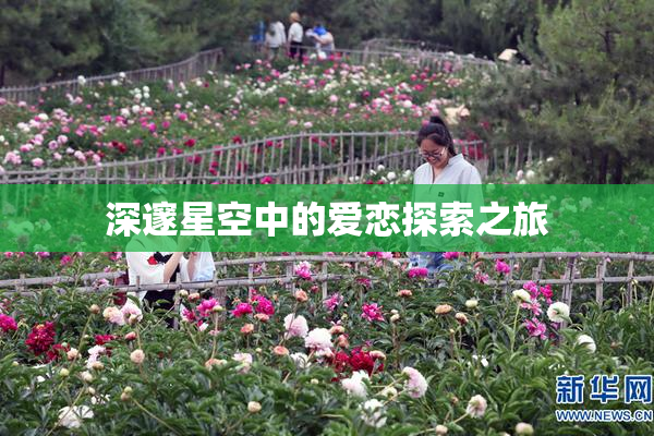 深邃星空中的爱恋探索之旅