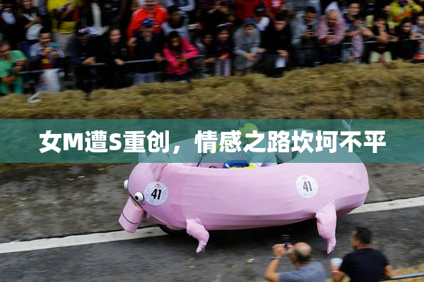 女M遭S重创，情感之路坎坷不平
