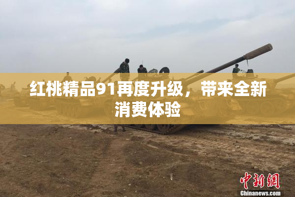 红桃精品91再度升级，带来全新消费体验