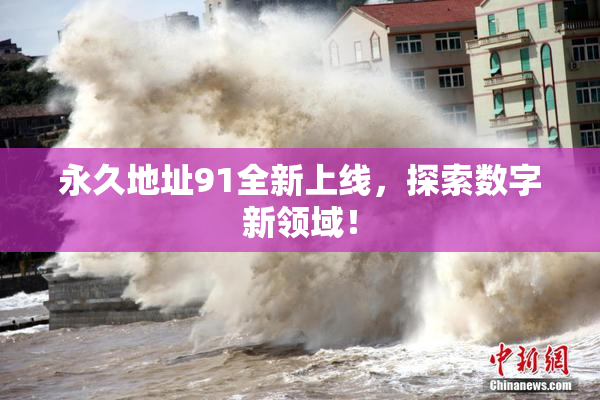 永久地址91全新上线，探索数字新领域！