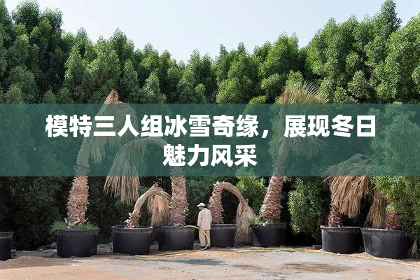 模特三人组冰雪奇缘，展现冬日魅力风采