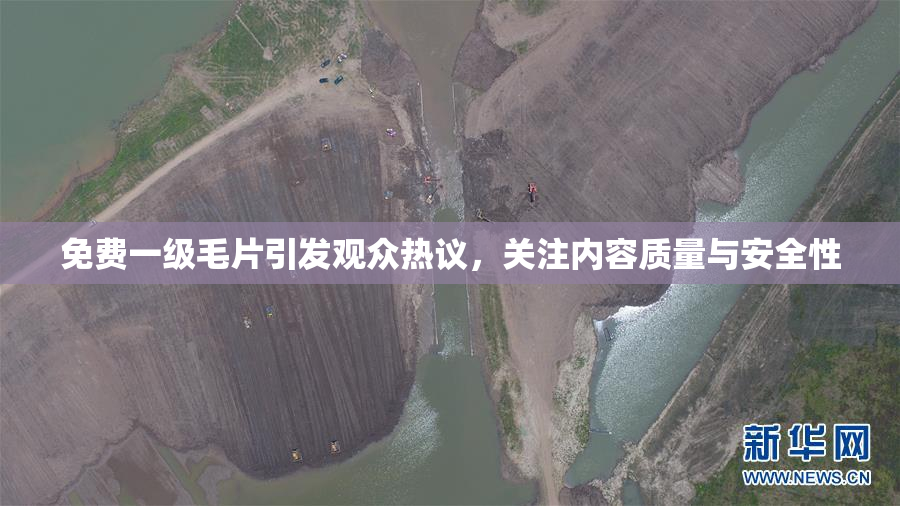 免费一级毛片引发观众热议，关注内容质量与安全性