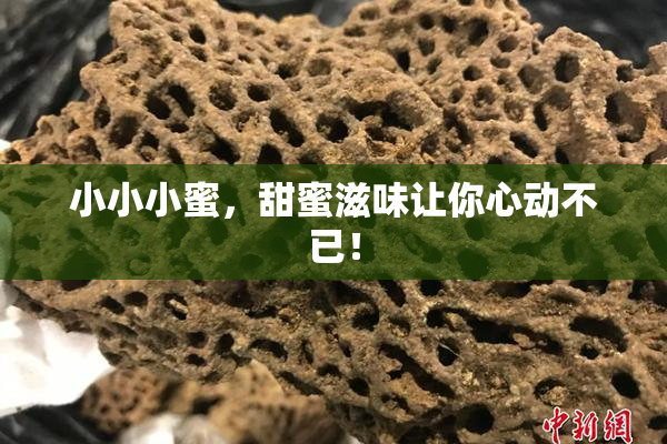 小小小蜜，甜蜜滋味让你心动不已！