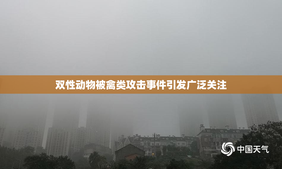 双性动物被禽类攻击事件引发广泛关注