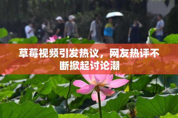 草莓视频引发热议，网友热评不断掀起讨论潮