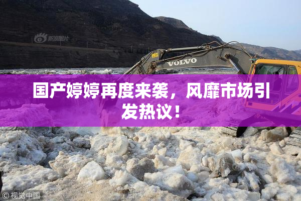 国产婷婷再度来袭，风靡市场引发热议！