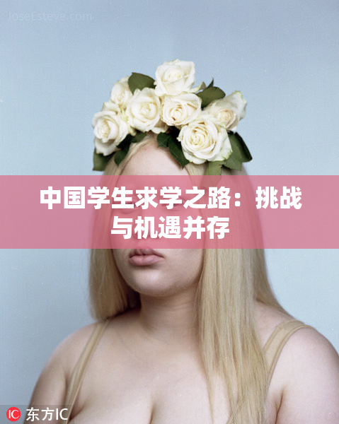 中国学生求学之路：挑战与机遇并存