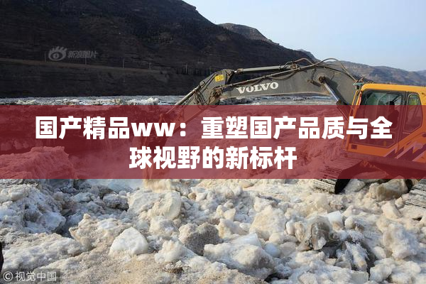 国产精品ww：重塑国产品质与全球视野的新标杆