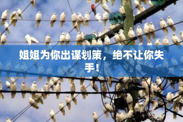 姐姐为你出谋划策，绝不让你失手！